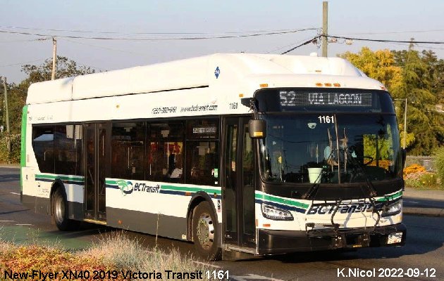 BUS/AUTOBUS: New Flyer XN40 2019 Victoria Transit