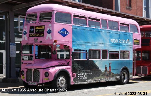 BUS/AUTOBUS: AEC RM 1965 Absolute-Charter