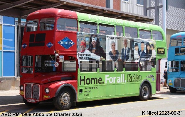 BUS/AUTOBUS: AEC RM 1966 Absolute-Charter