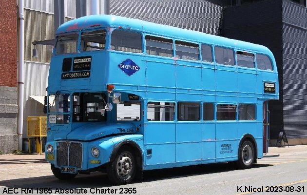BUS/AUTOBUS: AEC RM 1965 Absolute-Charter