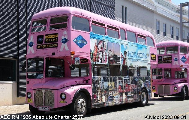 BUS/AUTOBUS: AEC RM 1966 Absolute-Charter