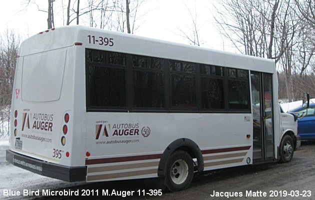 BUS/AUTOBUS: Blue Bird MicroBird 2011 Auger M