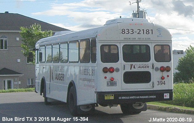 BUS/AUTOBUS: Blue Bird TX 3 2015 M.Auger