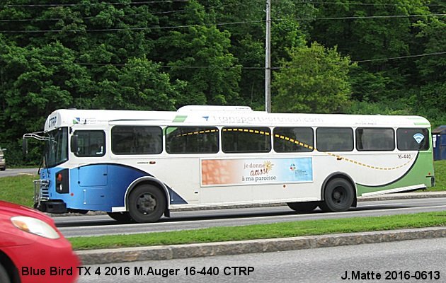 BUS/AUTOBUS: Blue Bird TX 4 2016 Auger M