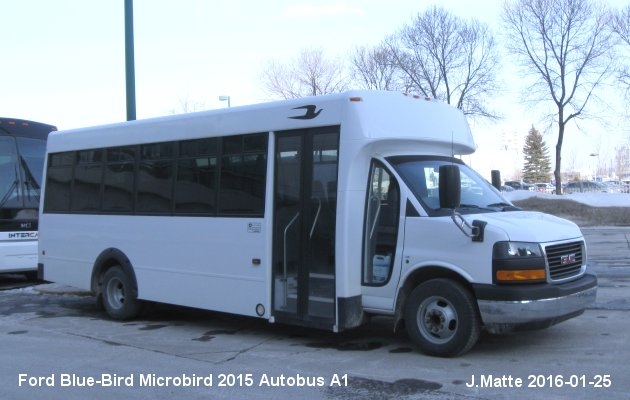 BUS/AUTOBUS: Blue Bird Micro Bird 2015 Autobus A1