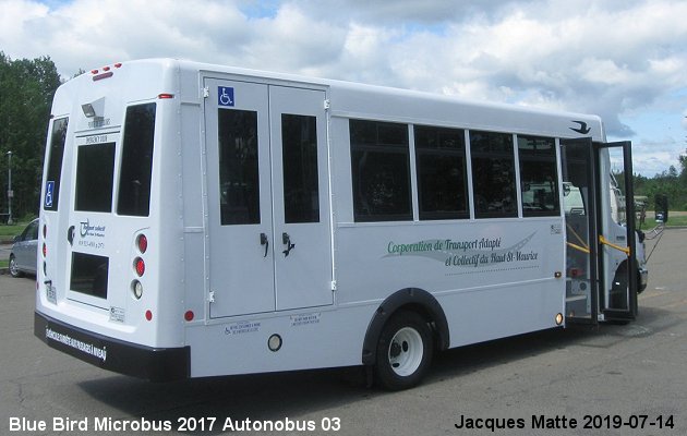 BUS/AUTOBUS: Blue Bird MicroBird 2018 Autonobus