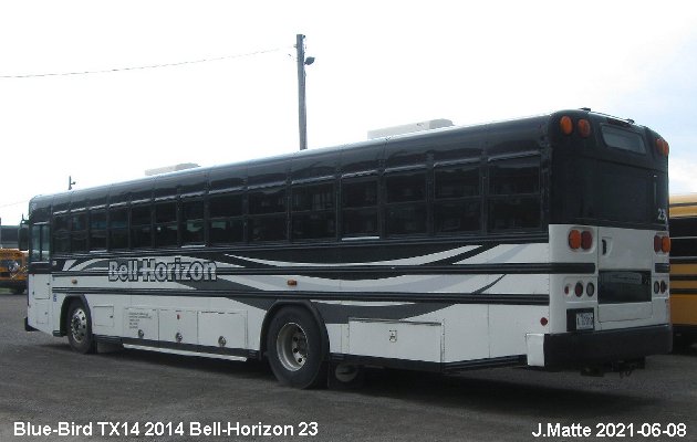BUS/AUTOBUS: Blue Bird TX14 2014 Bell-Horizon