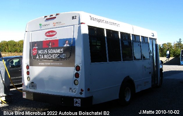 BUS/AUTOBUS: Blue Bird MicroBird 2020 Tours Vieux Quebec