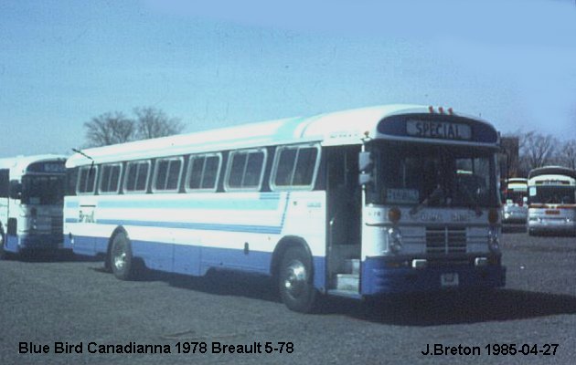 BUS/AUTOBUS: Blue Bird Canadianna 1978 Brault