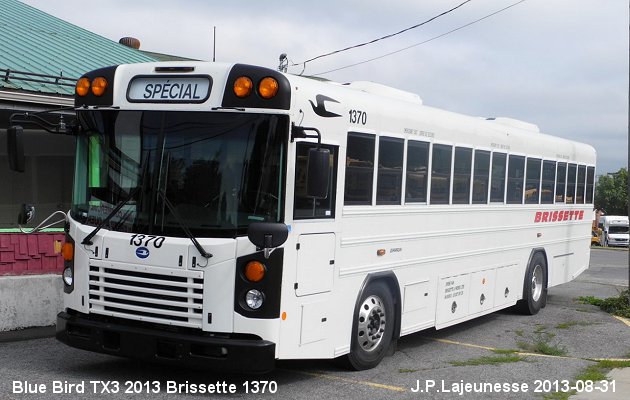 BUS/AUTOBUS: Blue Bird TX3 2013 Brissette