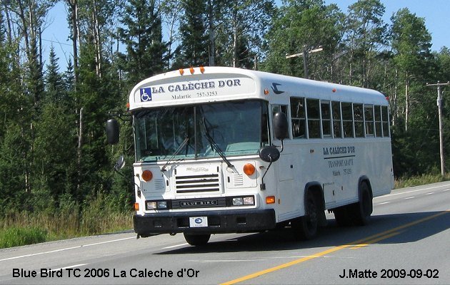 BUS/AUTOBUS: Blue Bird TC2000 2006 T.A. Caleche d Or