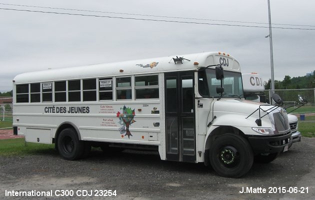 BUS/AUTOBUS: International CE300 2013 CDJ