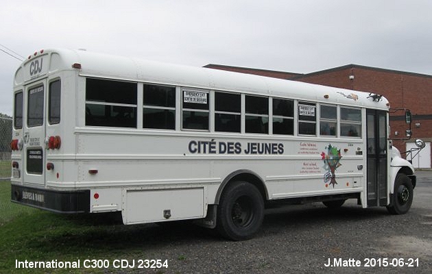 BUS/AUTOBUS: International CE300 2013 CDJ