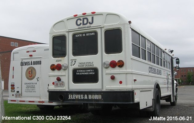 BUS/AUTOBUS: International CE300 2013 CDJ