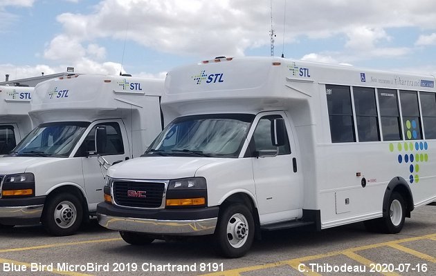 BUS/AUTOBUS: Blue Bird Microbird 2019 Chartrand