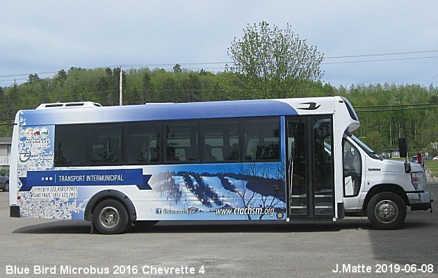 BUS/AUTOBUS: Blue Bird MicroBird 2016 Chevrette