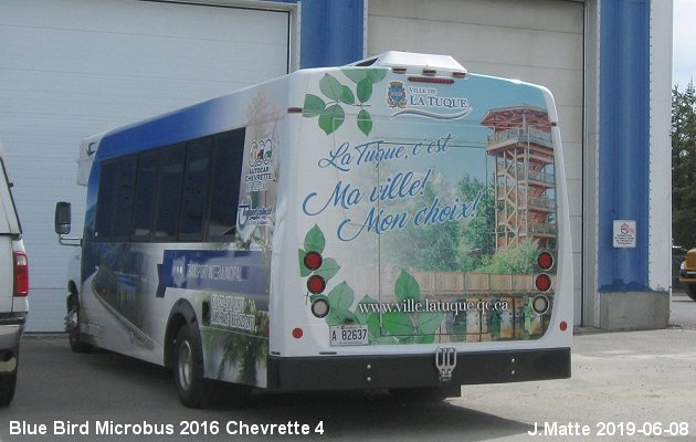 BUS/AUTOBUS: Blue Bird MicroBird 2016 Chevrette