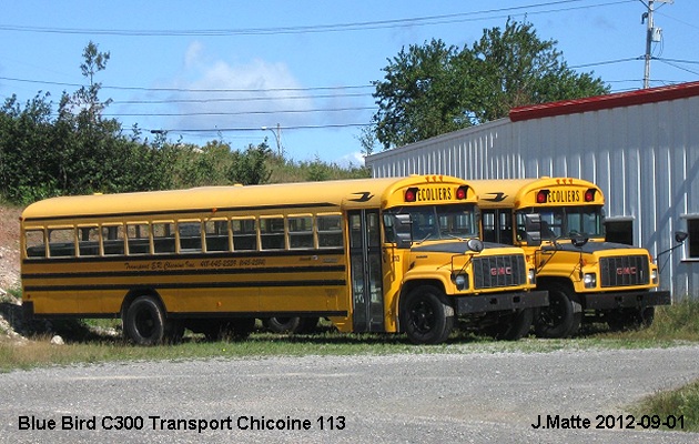 BUS/AUTOBUS: Blue Bird C300 2010 Chicoine