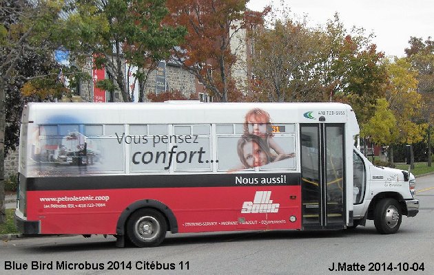 BUS/AUTOBUS: Blue Bird MicroBird 2014 Quebecoise