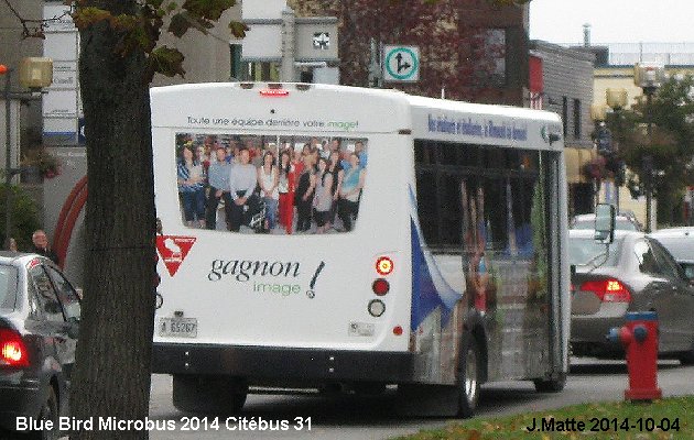 BUS/AUTOBUS: Blue Bird MicroBird 2014 Quebecoise