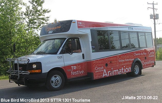 BUS/AUTOBUS: Blue Bird Micro Bird 2013 STTR