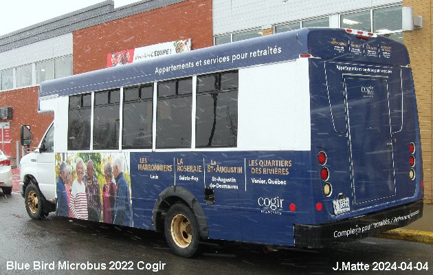 BUS/AUTOBUS: Blue Bird Microbird 2022 Cogir