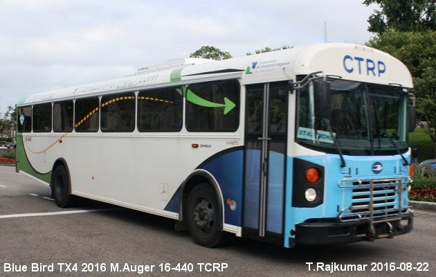 BUS/AUTOBUS: Blue Bird TX 4 2016 Auger M