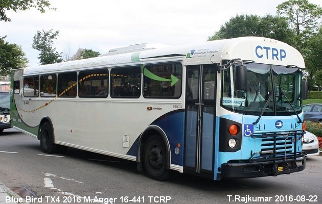 BUS/AUTOBUS: Blue Bird TX 4 2016 Auger M