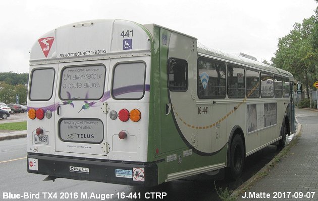 BUS/AUTOBUS: Blue Bird TX 4 2016 Auger M