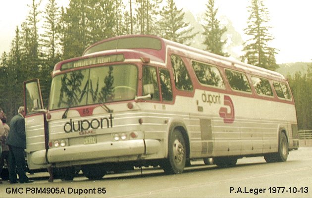 BUS/AUTOBUS: GMC P8M4905 1977 Dupont