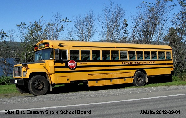 BUS/AUTOBUS: Blue Bird C1 2012 Eastern Shore 