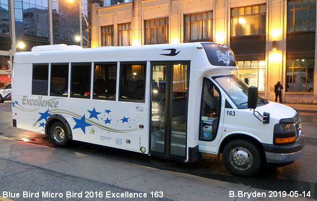 BUS/AUTOBUS: Blue Bird MicroBird 2016 Excellence