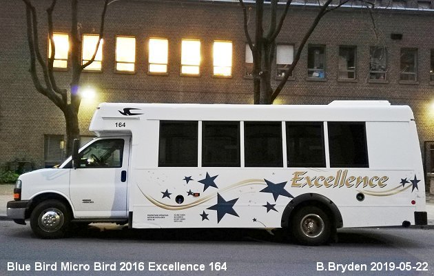 BUS/AUTOBUS: Blue Bird MicroBird 2016 Excellence