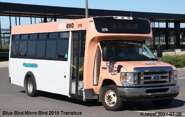 BUS/AUTOBUS: Blue Bird MicroBird 2018 Transbus