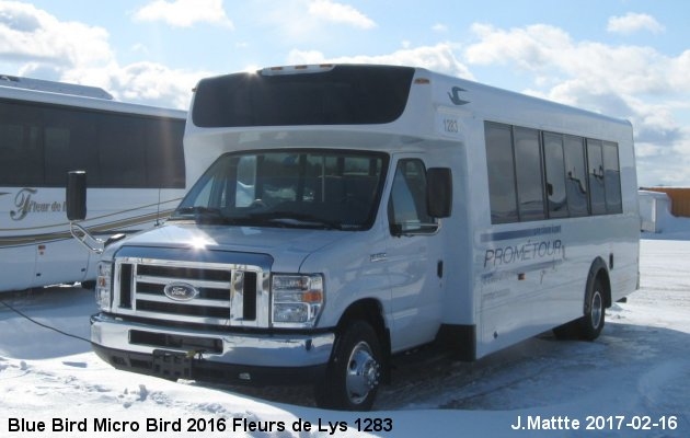 BUS/AUTOBUS: Blue Bird Micro Bird 2016 Fleurs de Lys