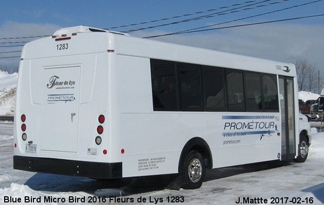 BUS/AUTOBUS: Blue Bird Micro Bird 2016 Fleurs de Lys