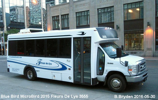 BUS/AUTOBUS: Blue Bird Micro Bird 2015 Fleurs de Lys