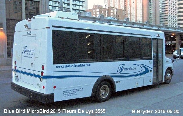 BUS/AUTOBUS: Blue Bird Micro Bird 2015 Fleurs de Lys