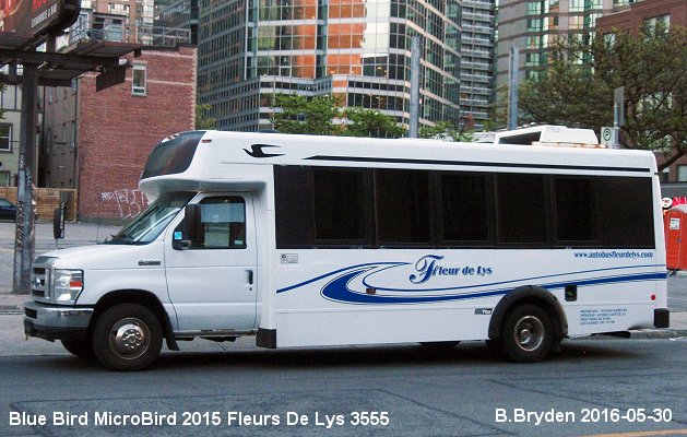 BUS/AUTOBUS: Blue Bird Micro Bird 2015 Fleurs de Lys