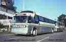 pics/forpo4043_small.jpg
