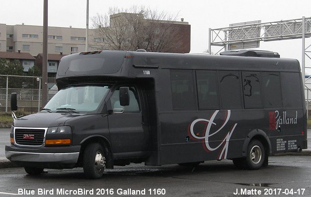 BUS/AUTOBUS: Blue Bird Micro Bird 2016 Galland