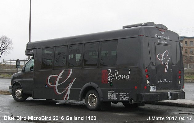 BUS/AUTOBUS: Blue Bird Micro Bird 2016 Galland