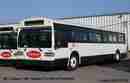 pics/gall731_small.jpg