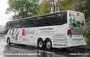 pics/gall8151b_small.jpg