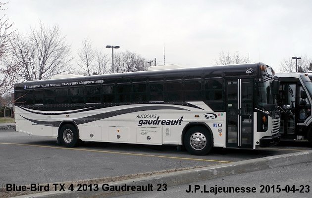 BUS/AUTOBUS: Blue Bird TX14 2014 Gaudreault