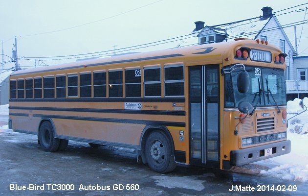 BUS/AUTOBUS: Blue Bird TC3000 2005 GD