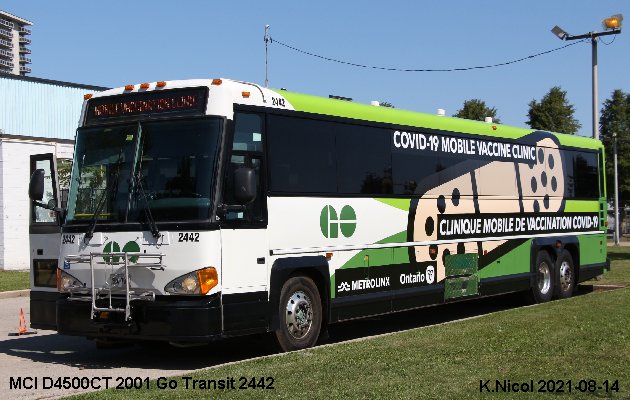 BUS/AUTOBUS: MCI D4500CT 2001 Go Transit