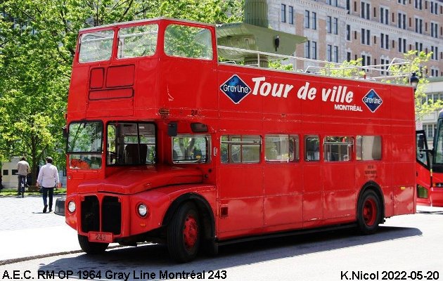 BUS/AUTOBUS: A.E.C. RM OP 1964 Gray Line Montréal