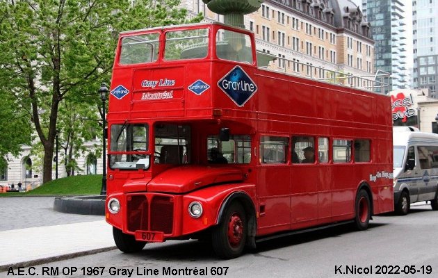 BUS/AUTOBUS: A.E.C. RM OP 1967 Gray Line Montréal