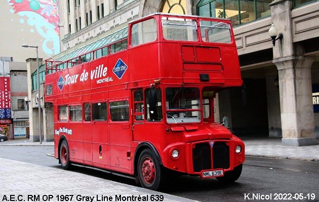 BUS/AUTOBUS: A.E.C. RM OP 1967 Gray Line Montréal